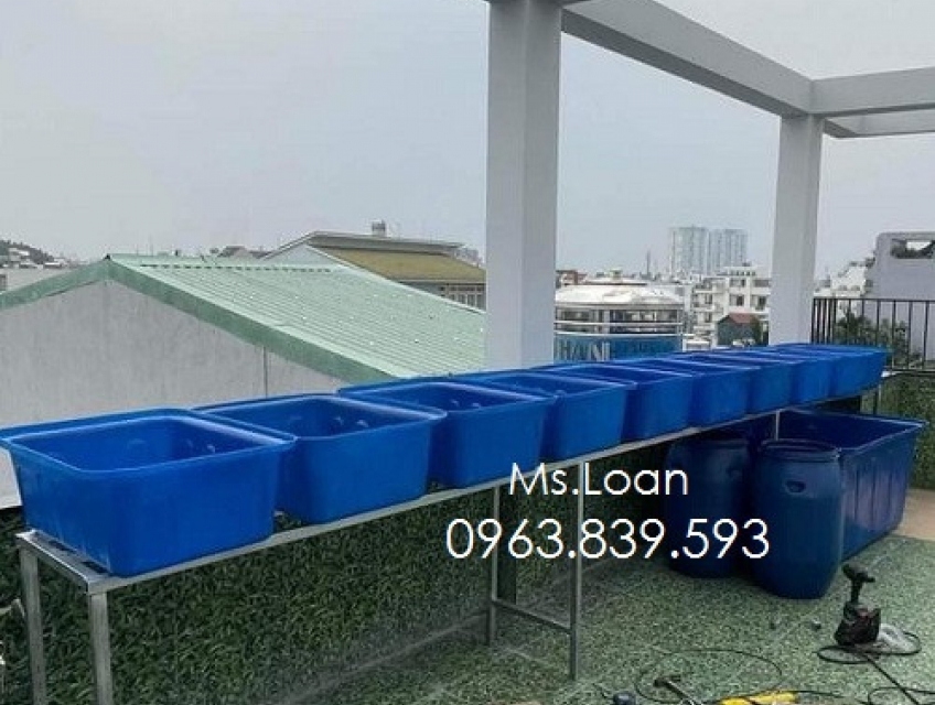 Thùng nhựa trồng cây trên sân thượng,thùng nhựa 50L 100L 200L 300L rẻ
