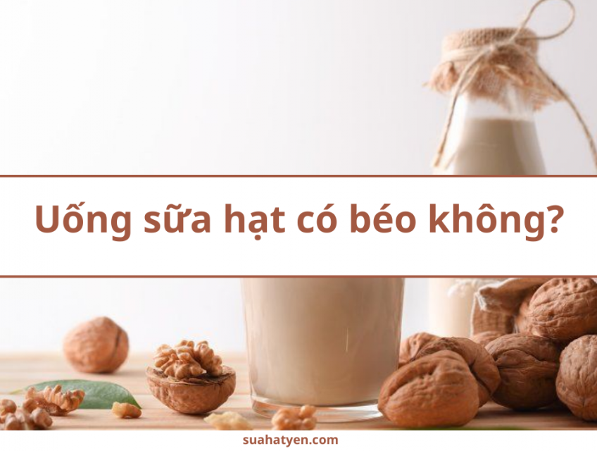 Uống sữa hạt có béo không?