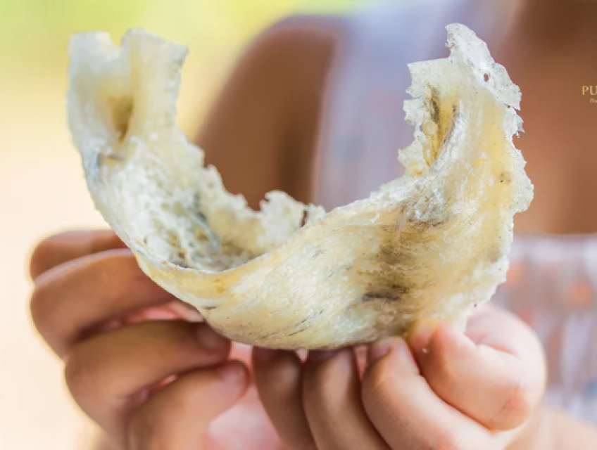 Tổ yến sào giá bao nhiêu 1 lạng cập nhật mới nhất 2025