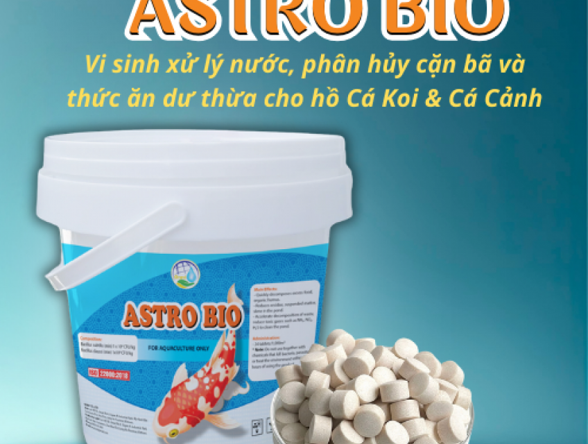Vi sinh viên, vi sinh bột cho hồ cá Koi, cá cảnh -Astro Bio, Ryder Bio