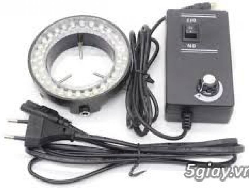 Tại sao bóng đèn LED ngày càng được ưa chuộng trong cuộc sống hiện đại?