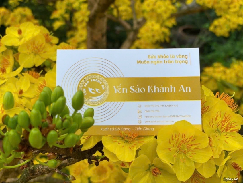 Yến Sào Khánh An- Chuyên Cung Cấp Tổ Yến Thô và Yến Tinh Chế Tại HCM