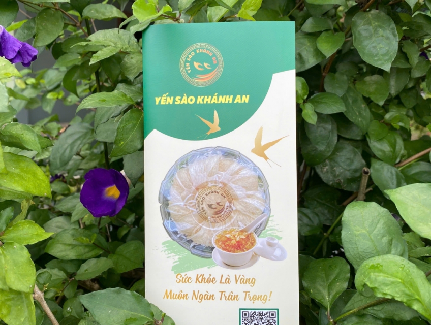 Yến Sào Khánh An - Dịch Vụ Gia Công Tổ Yến Thô Tại HCM