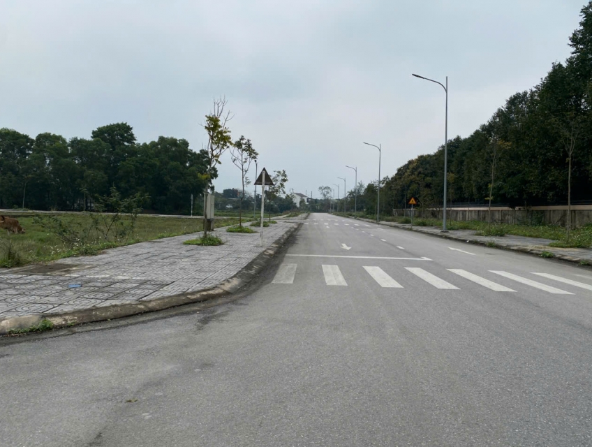 ► Đất đấu giá nghi ân Lô 53