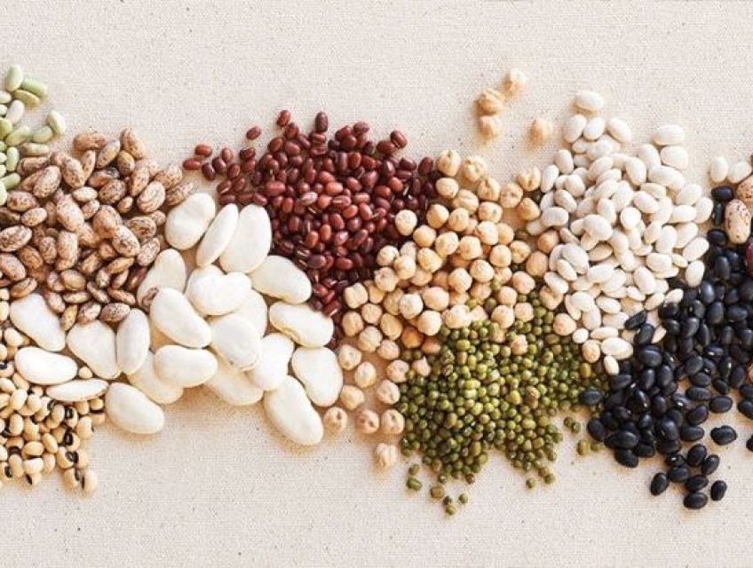 Kẹo Nougat Cho Người Ăn Kiêng – Làm Thế Nào Để Ăn Mà Vẫn Giữ Dáng?