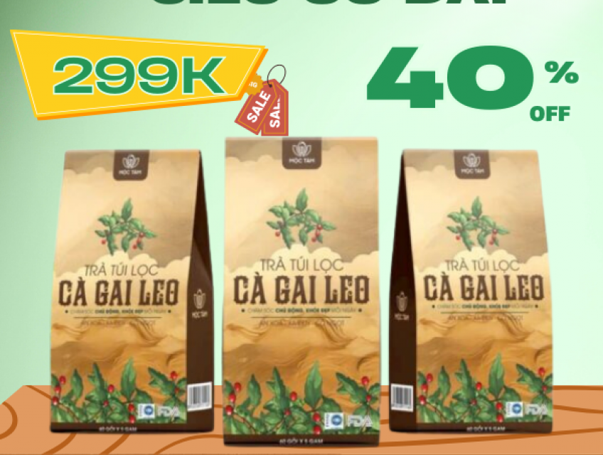 Trà Cà Gai Leo – Bí Quyết Cho Sức Khỏe Từ Thiên Nhiên