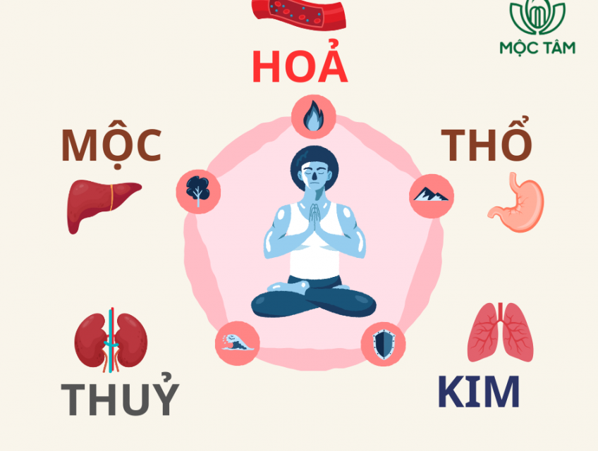 Ngũ Hành Trong Cơ Thể Con Người: Hiểu Để Sống Khỏe Từ Gốc Rễ