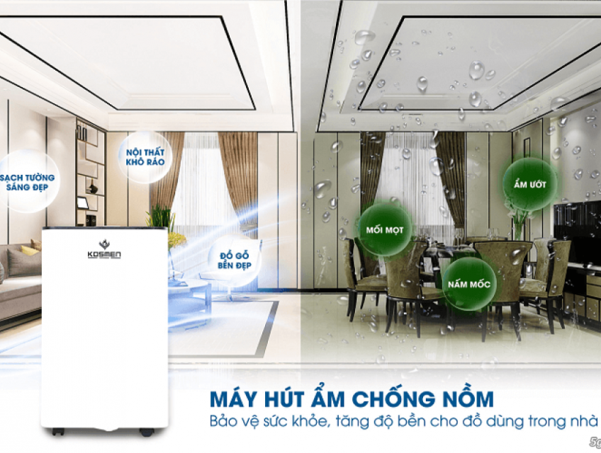 Máy hút ẩm có thực sự cần thiết cho mùa nồm ẩm?