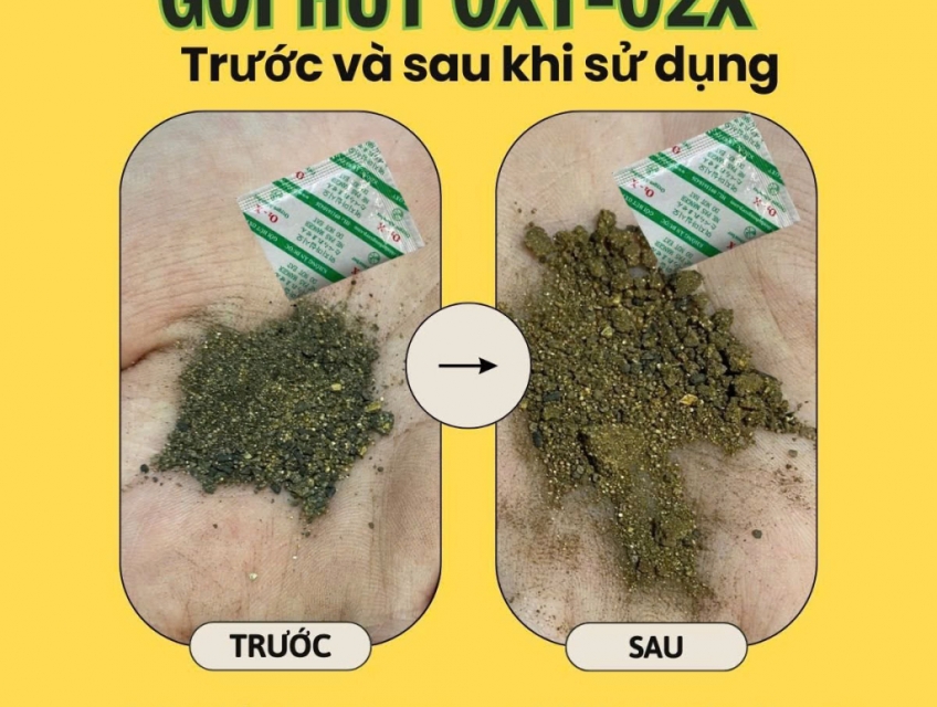 Gói Hút Oxy Cho Bánh Trung Thu