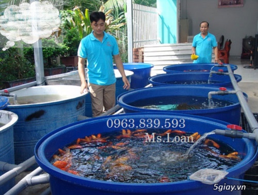 Thùng nhựa tròn 1000L 2000L nuôi cá / lh 0963 839 593 Ms.Loan