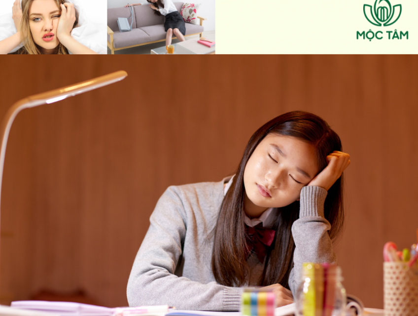 4 Giải Pháp Cho Cơ Thể Mệt Mỏi, Chán Nản: Trà Lá Sen Mộc Tâm