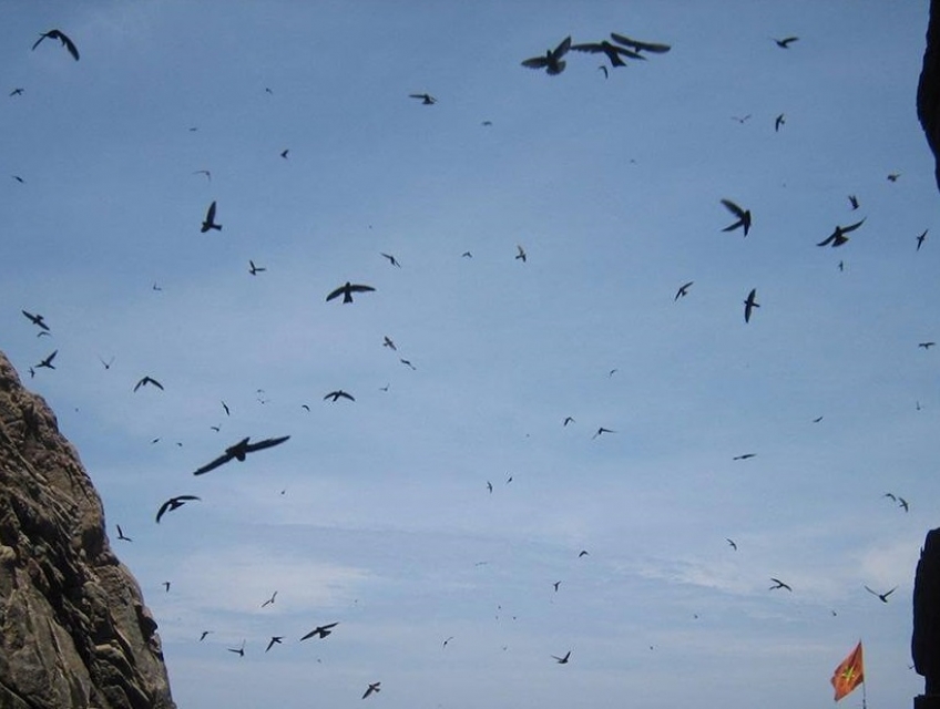 Yến sào thiên nhiên Tây Nguyên