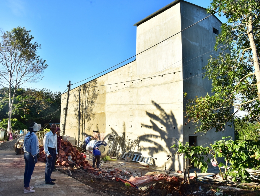 Thu hoạch tổ yến Tây Nguyên-Thương hiệu yến sào uy tín 2025