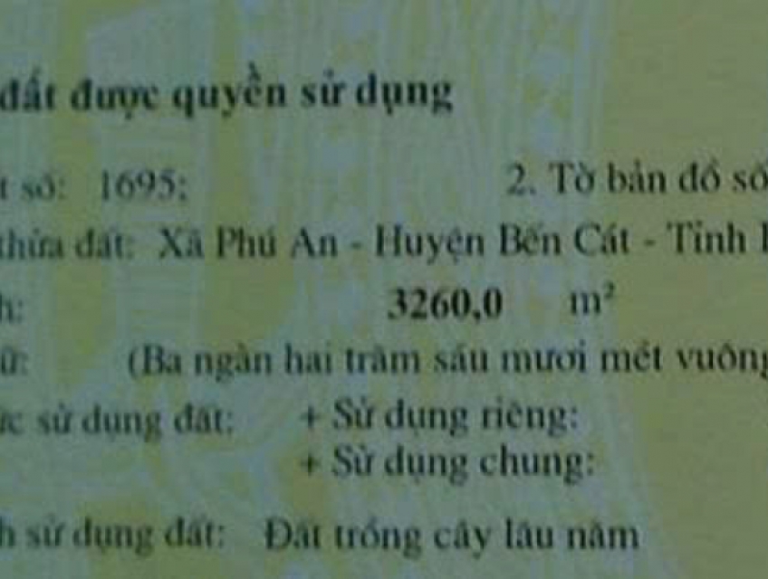 Bán đất giá tốt – Diện tích lớn, phù hợp đầu tư và làm vườn tại Bến Cá