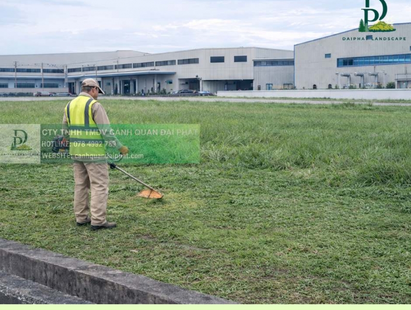CẮT CỎ PHÁT HOANG CỎ DẠI KCN PHÚ MỸ – KCN MỸ XUÂN (BÀ RỊA VŨNG TÀU)