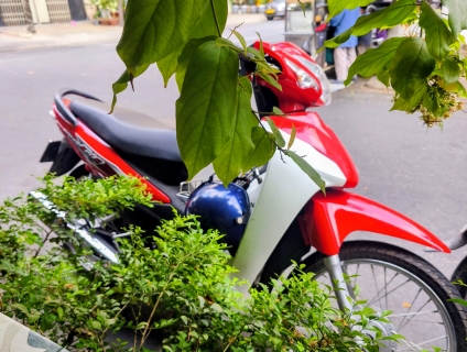 Xe wave alpha 2023 chính chủ bán