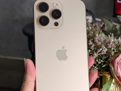 16 Pro max 256G VN/A 99%. Pin 99%. BH 9/2026