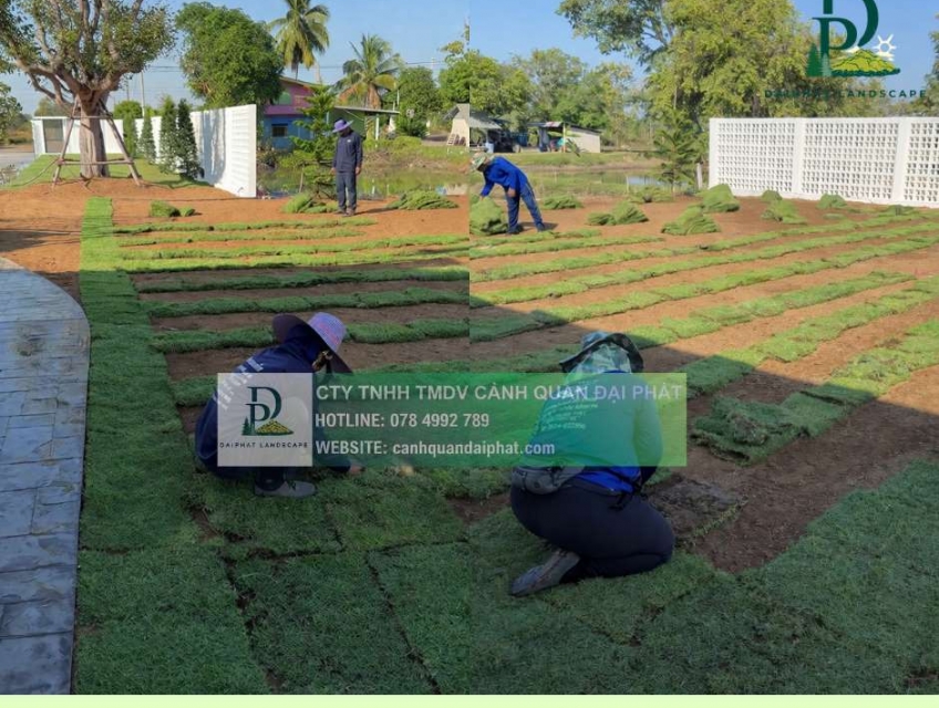 TRỒNG CỎ CÔNG TRÌNH KCN BÌNH DƯƠNG – THI CÔNG NHANH, GIÁ TỐT