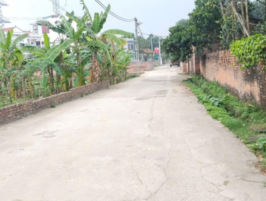 BÁN ĐẤT ĐAN TẢO, TÂN MINH- TÀI CHÍNH NHỎ - FULL THỔ - Ô TÔ ĐỖ CỬA