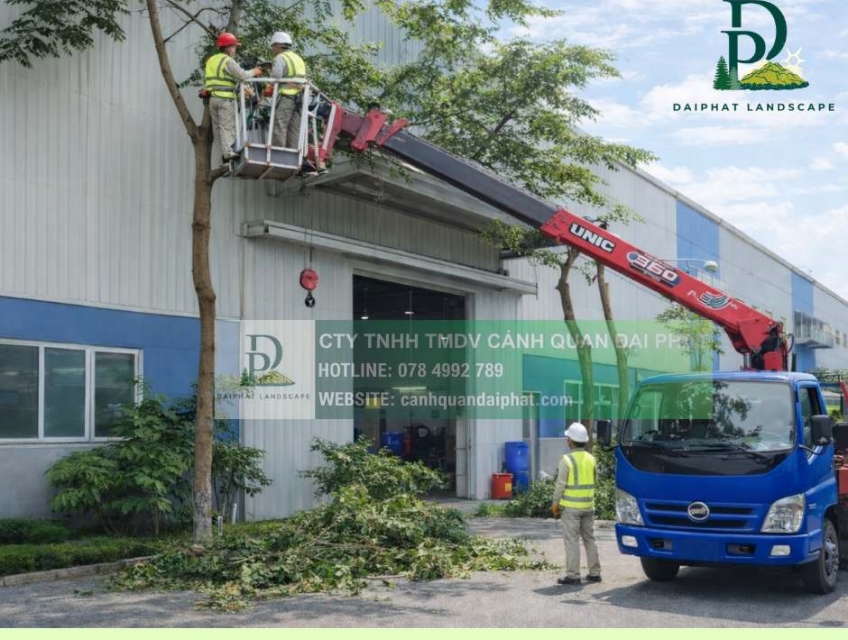 DỊCH VỤ CẮT CỎ – CƯA CÂY TẠI KCN LONG THÀNH, ĐỒNG NAI