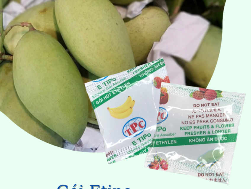 Gói hút Ethylen bảo quản xoài xuất khẩu