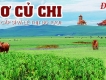 Bò Tơ Củ Chi ( Cung cấp thịt bò tươi)