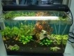 Bình Thanh-Cần thanh lý hồ thuỷ sinh 50x35 đẹp có luôn đèn ODYSSEA+lọc OF giá rẻ đây