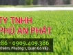 Thảm cỏ nhân tạo sân vườn, sân bóng giá rẻ