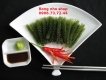 Rong nho biển cao cấp  cung cấp sỉ lẻ
