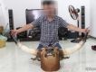 Đầu bò rừng trang trí.