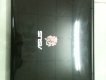 Bán máy laptop ASUS đang sử dụng