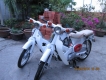 cub,cup lun 50cc cần bán lại