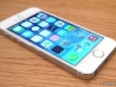 iphone 5s gold nguyên zin giá tốt