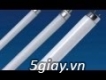 Thanh ly bóng đèn t5- tiết kiệm điện