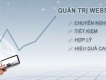 Thiết kế, Nâng cấp WEBSITE