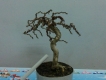 SAM HƯƠNG ĐÀI LOAN BONSAI MINI TỪ 200K--->350k        15/06/2014
