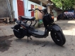 cần bán honda zoomer 50cc