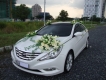 Cho thuê xe cưới hyundai sonata màu trắng