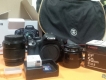 Kiss X4 (550D) trọn bộ + 50-1.8II + túi crumler + SD class 10 8Gb=7,99 triệu