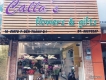 Calla's Flower & Gifts - HOA LAN ĐẠI HỒ ĐIỆP - GIÁ TỐT CHẤT LƯỢNG UY TÍN