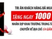 Nhanh tay đến thay pin iPhone miễn phí