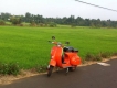 Cần Bán Vespa Standard VBB2