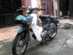 cup 50cc