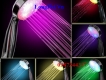 Vòi Sen Đèn led Đổi Màu Nước - Không dùng pin & điện - Giải pháp tắm rửa cho bé yêu
