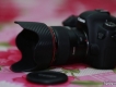 Bán Canon 35f1.4L 98% giá 23.000.000