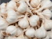 Bán Tỏi Lý Sơn chính gốc 100%, chất lượng khỏi chê giao hàng tận nơi.