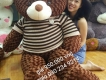 Teddy bear, thú bông, gấu nhồi bông, heo bông cực xinh