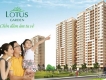 Căn hộ lotus garden - thanh toán 380 triệu có nhà ở liền - ngay mặt tiền đường tđt