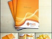 Thiết kế Brochure