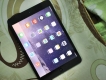Ipad mini 16gb 3g,wifi giá đẹp